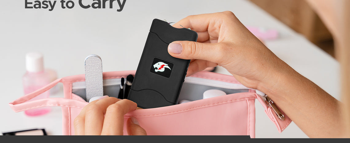 FURY Mini Stun Gun