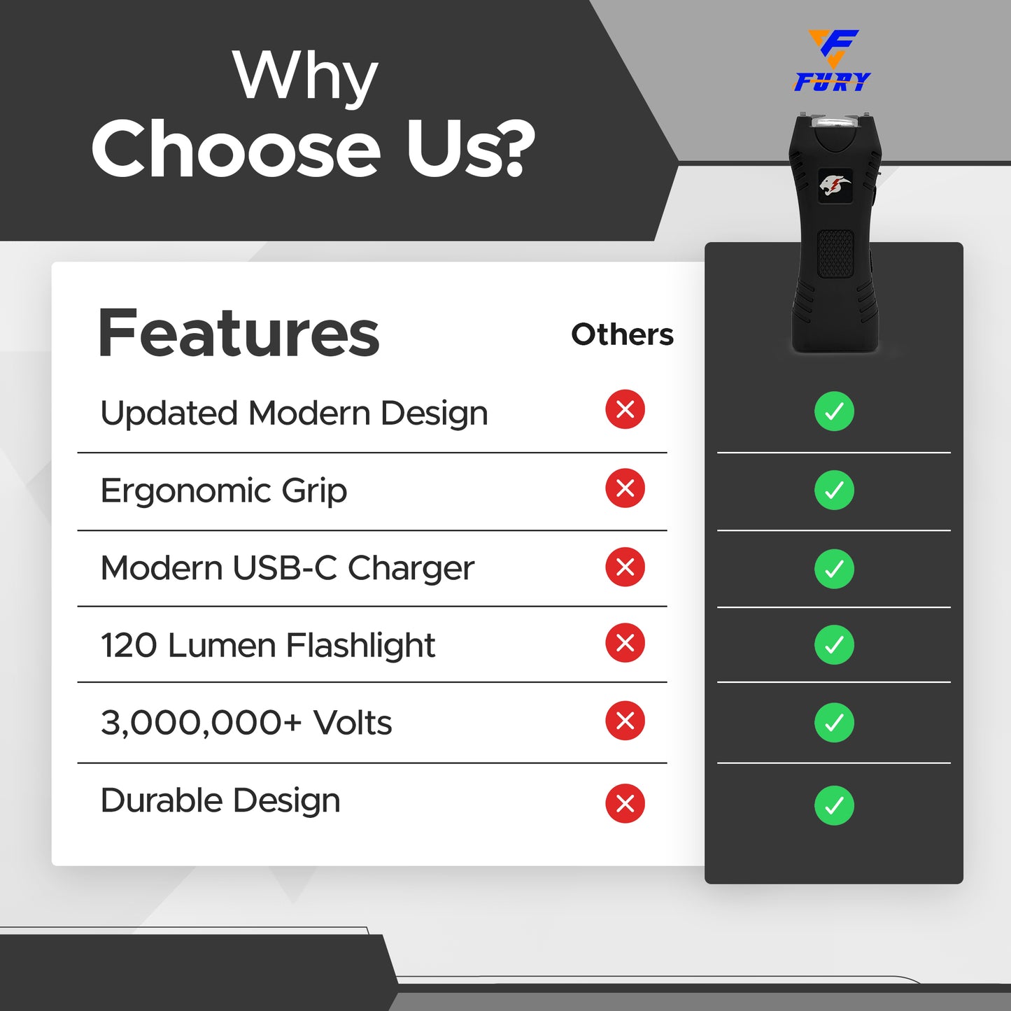 FURY Cheetah Stun Gun